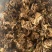 栀子花干花