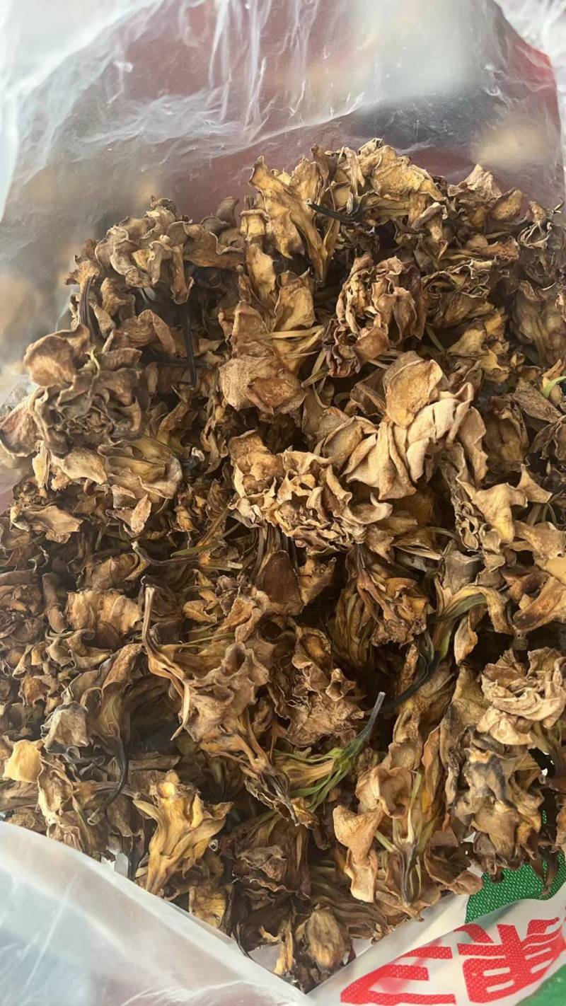 栀子花干花