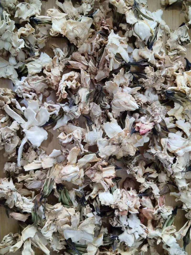 栀子花干花
