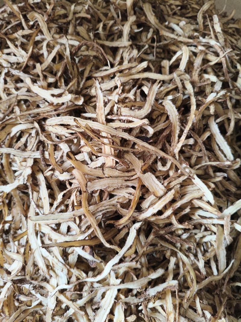 甘肃定西渭源县精品货当归节子片新货上市可看货咨询
