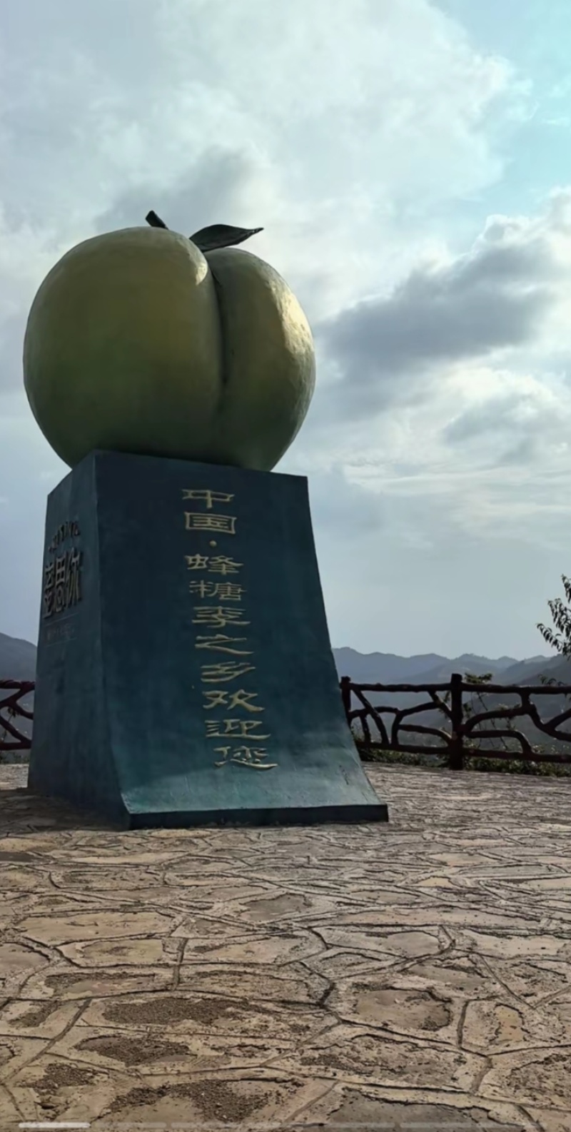 蜂糖李大果35元/斤，中果28元/斤，小果20