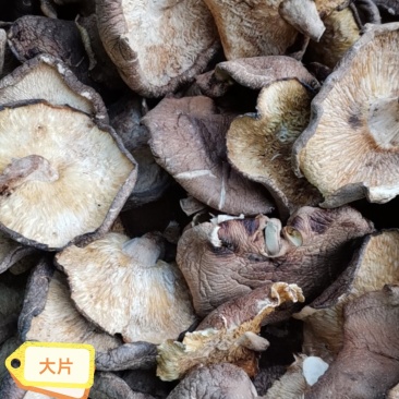 干香菇精选厚菇22元/斤；普通厚菇21元/斤；中