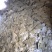 花生饼
