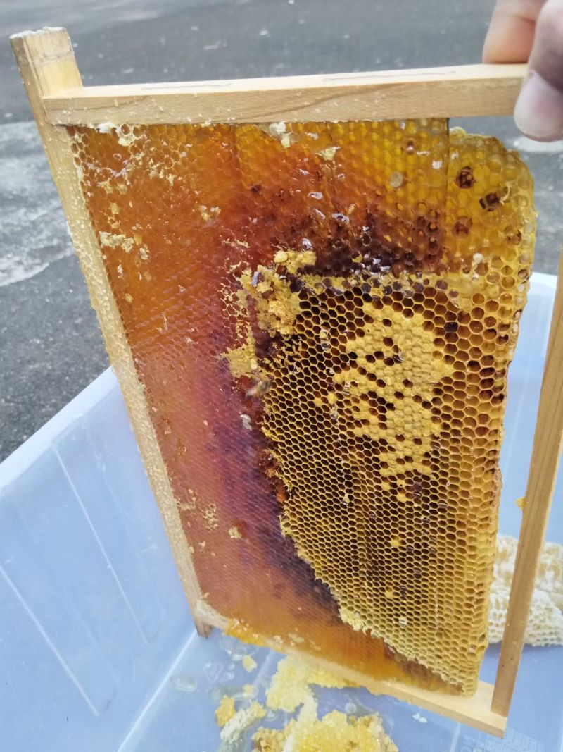 蜂蜜桶装，80斤一桶