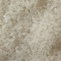 大米