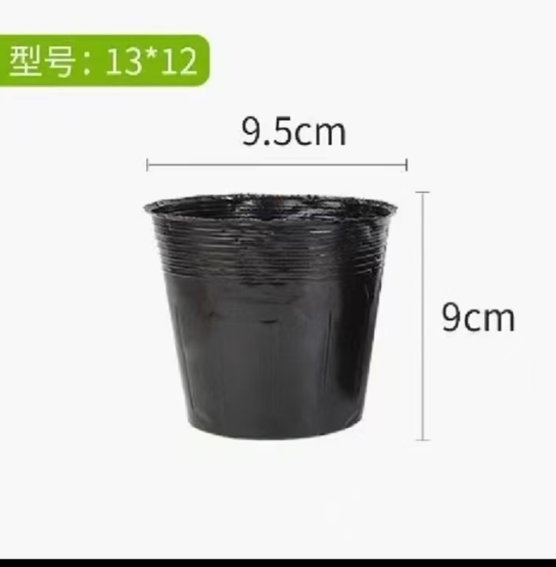 营养钵口径9.5cm，高9cm，13*12型号