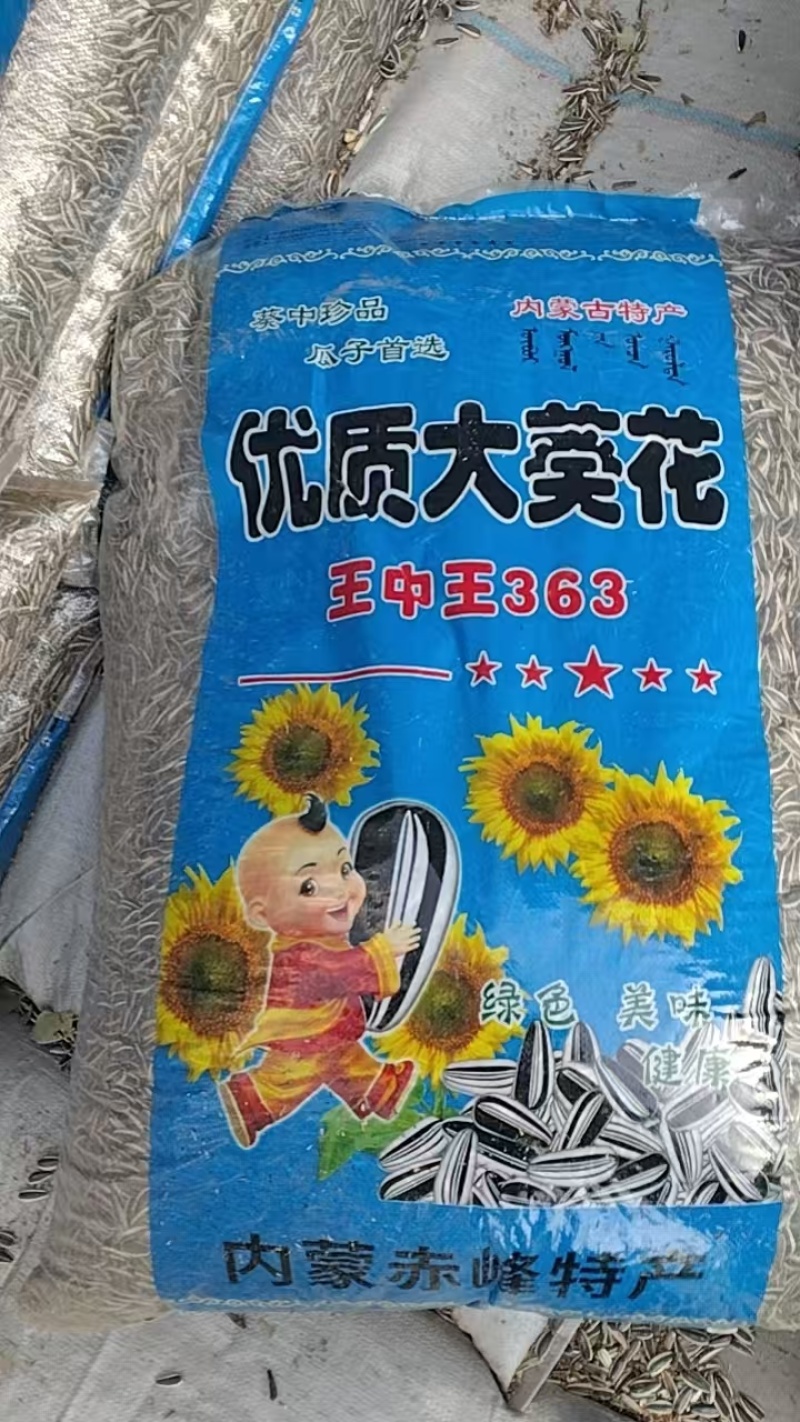 瓜子通货