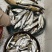 小白鱼条长约30cm以内