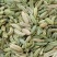 小茴香净度95%，水风6左右