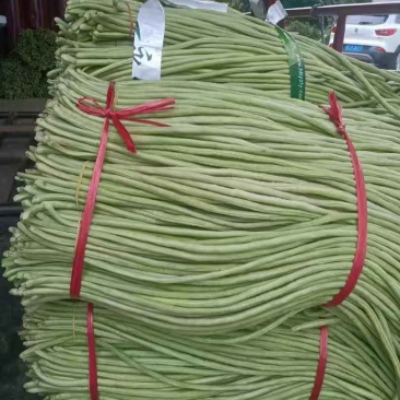 白豆角长30-50cm