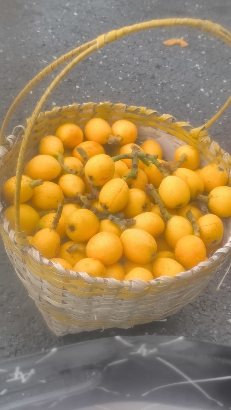 塘栖枇杷70个/箱，约5斤，大小均匀