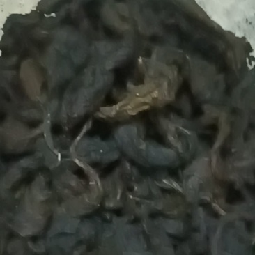 杜仲茶