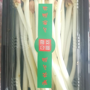花生芽长度18-22厘米，脆嫩