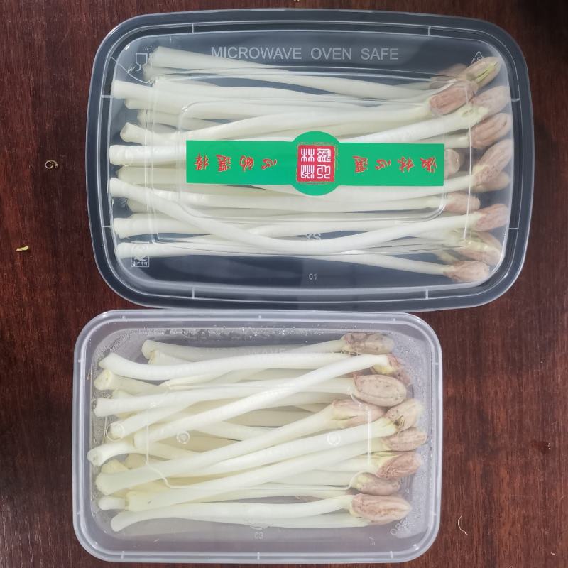 花生芽长度18-22厘米，脆嫩