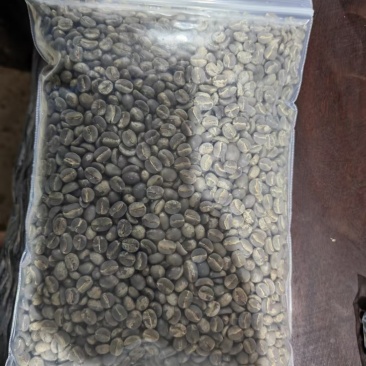阿拉比卡豆商业一级