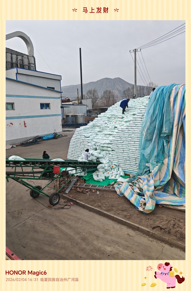 马铃薯淀粉袋装25kg