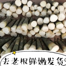 甜竹笋高度20-40厘米，带壳发货