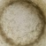 草鱼苗小规格水花