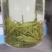 安吉白茶