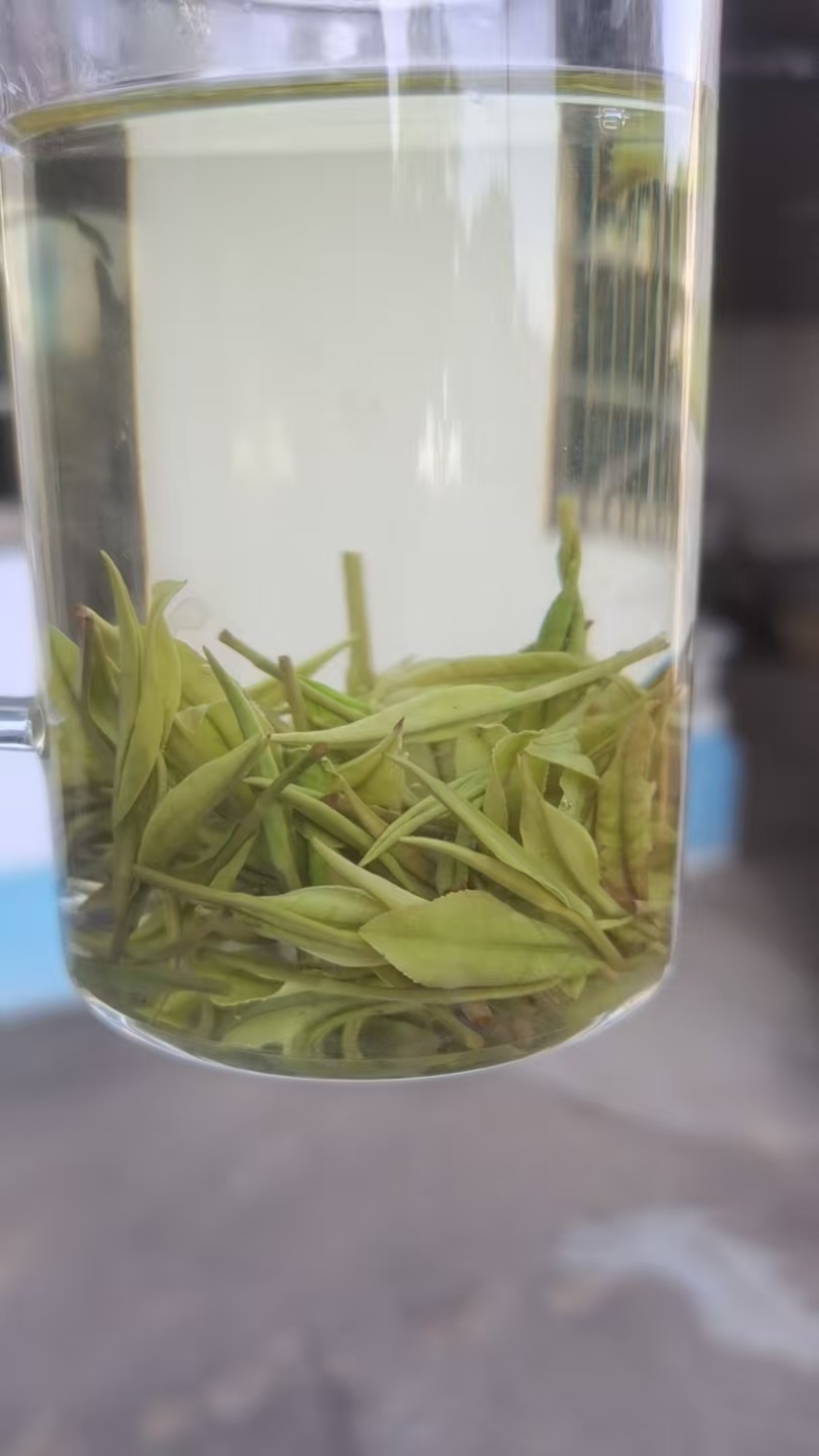安吉白茶
