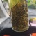 安吉白茶