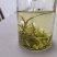 安吉白茶