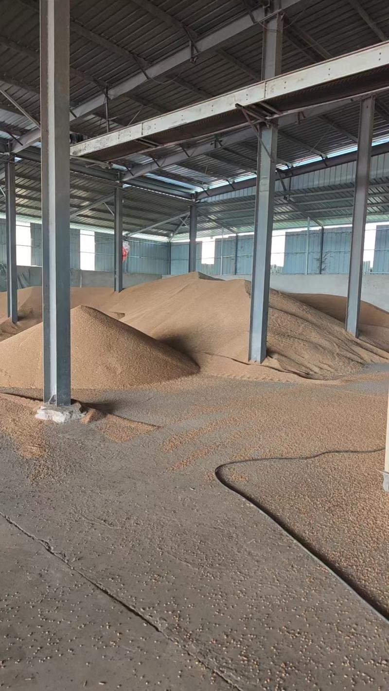 小麦按吨计