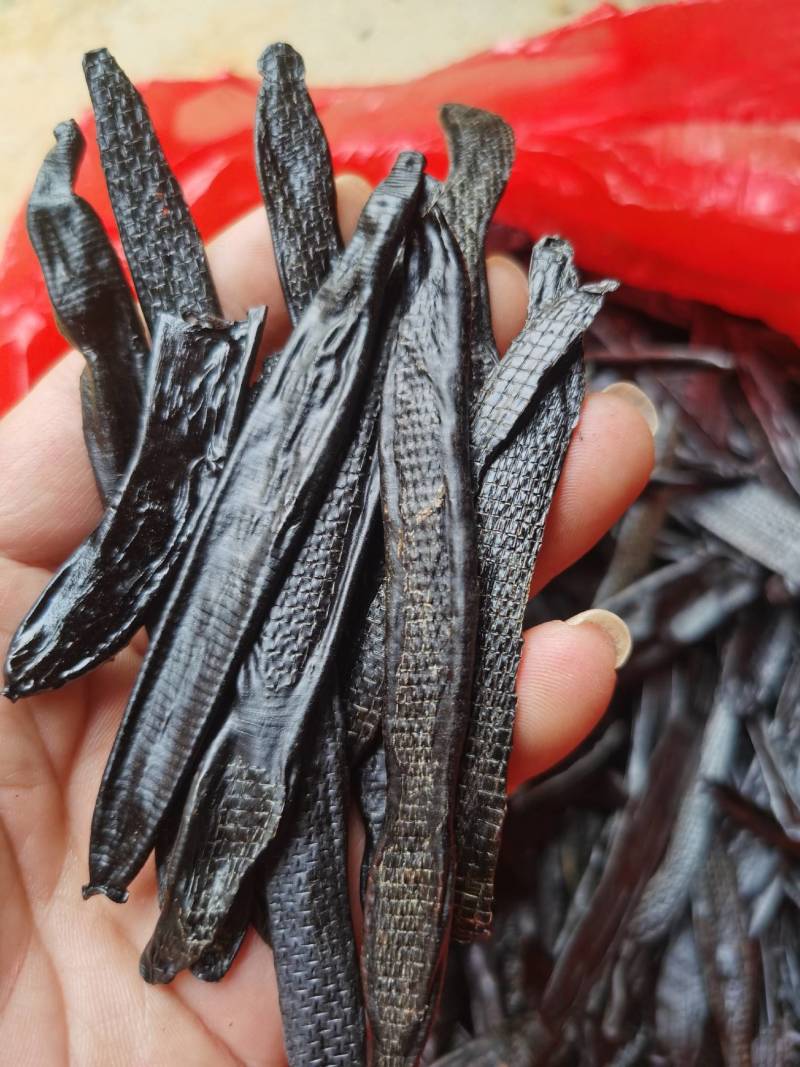 菲牛蛭菲牛蛭干条，分精品和统货两种规格