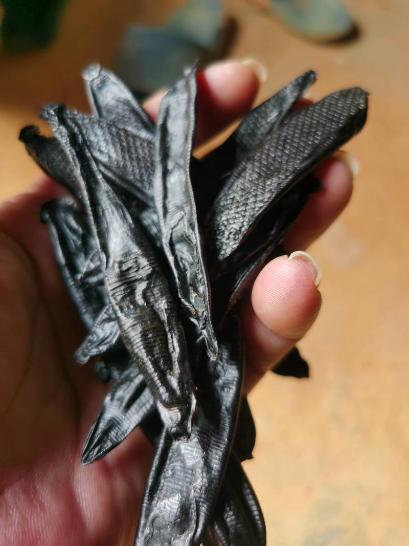 菲牛蛭菲牛蛭干条，分精品和统货两种规格
