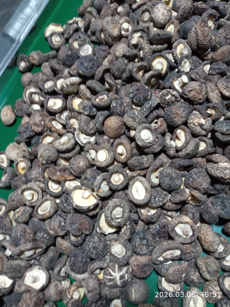 干香菇多种规格：①普通货（餐饮/堂食）约20元/斤，大小