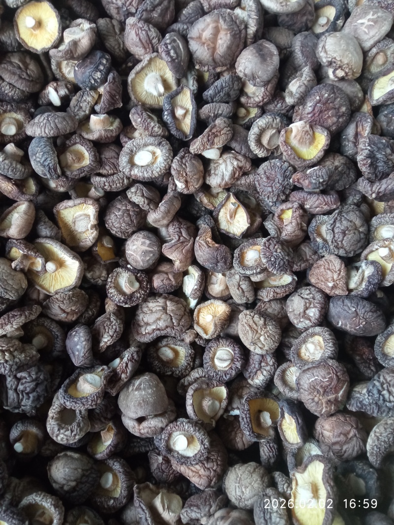 干香菇多种规格：①普通货（餐饮/堂食）约20元/斤，大小