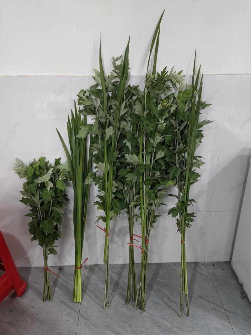 艾草