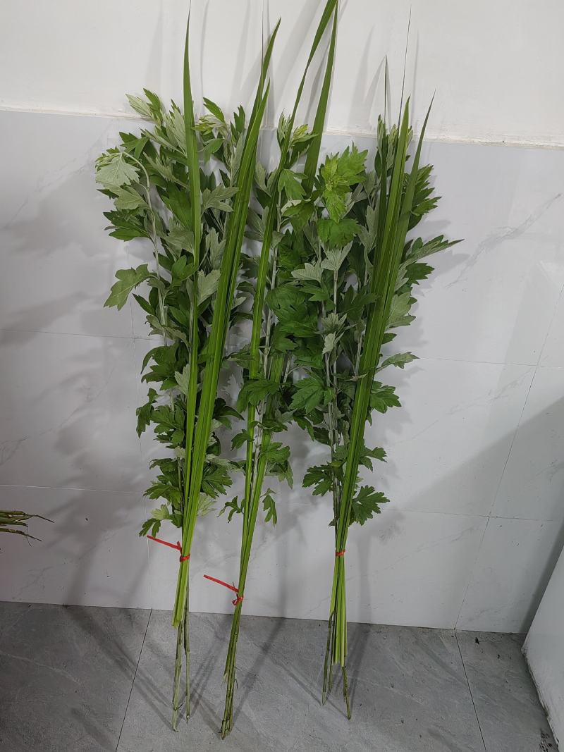 艾草
