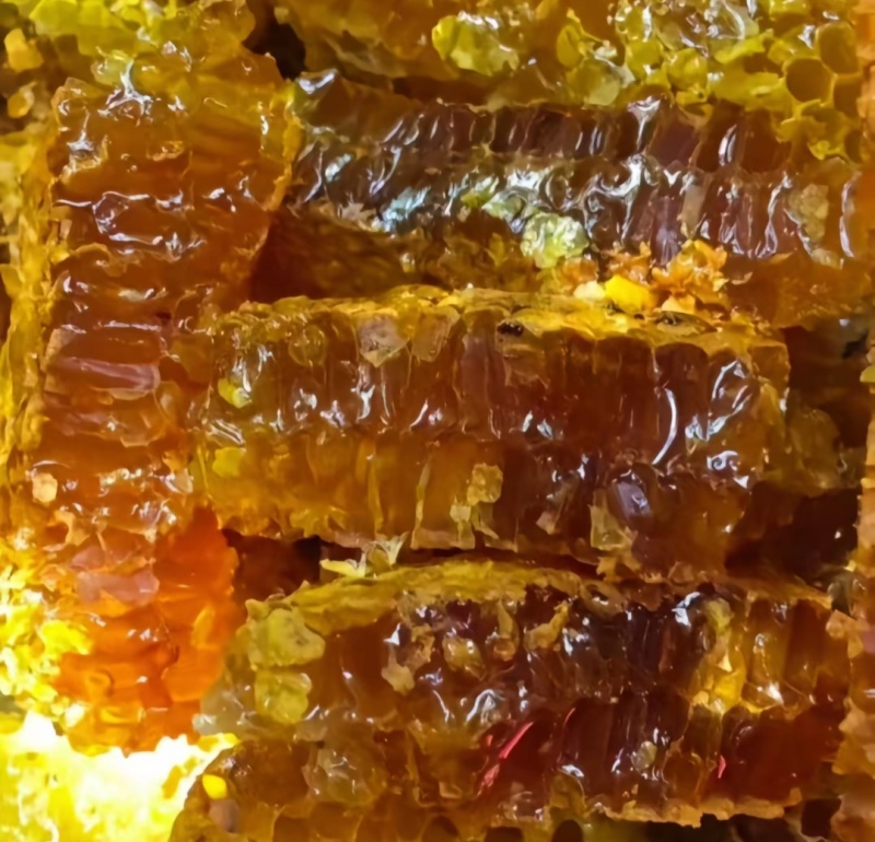 土蜂蜜大桶装