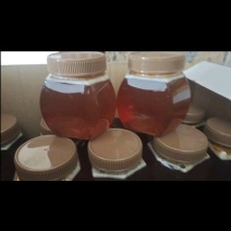 土蜂蜜一斤瓶装