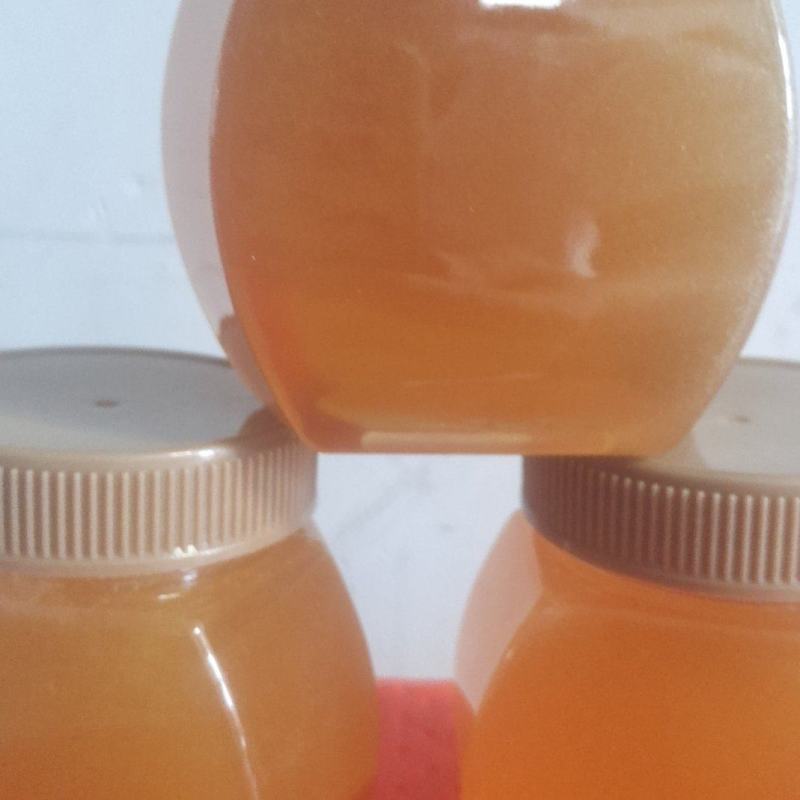 土蜂蜜一斤瓶装