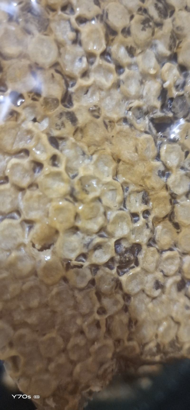 土蜂蜜一斤瓶装