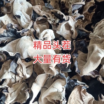 头茬毛木耳产地直销，一手货源，批发零售。