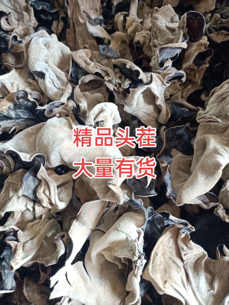 头茬毛木耳产地直销，一手货源，批发零售。