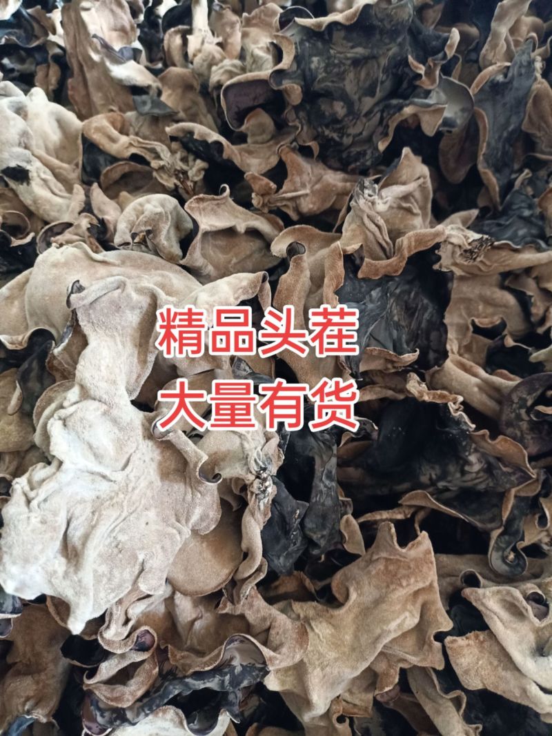 头茬毛木耳产地直销，一手货源，批发零售。