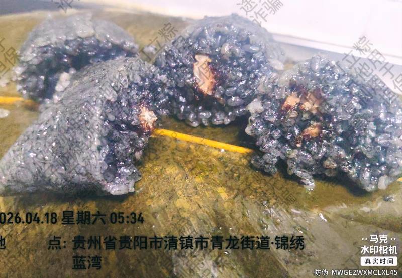 粽子新鲜现包，220克/个，多种口味可选（鲜肉粽、独立包