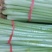 香芹带叶带根整把，橡皮筋捆扎
