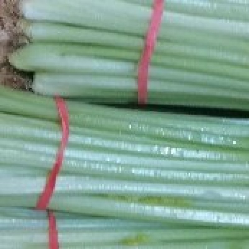 香芹带叶带根整把，橡皮筋捆扎