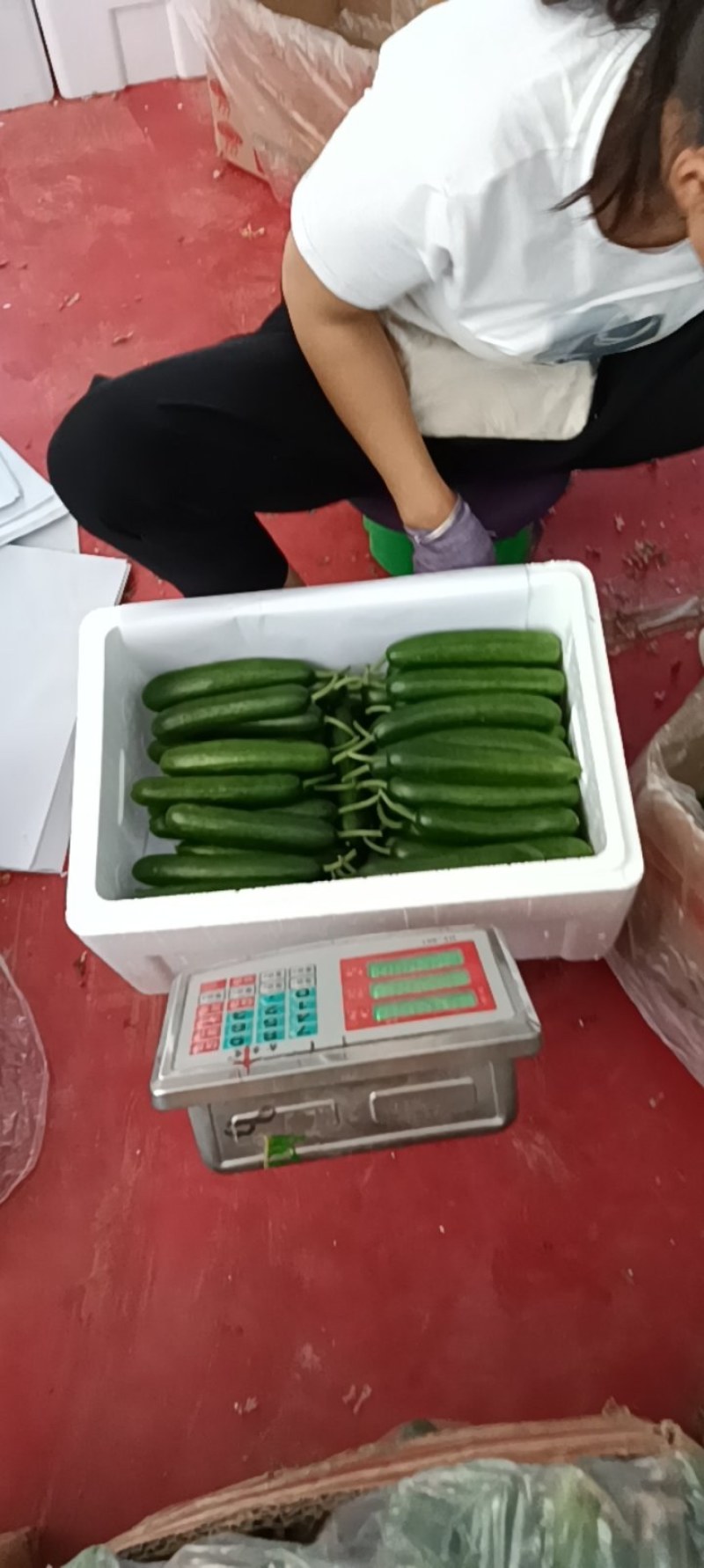 水果黄瓜长14-17cm