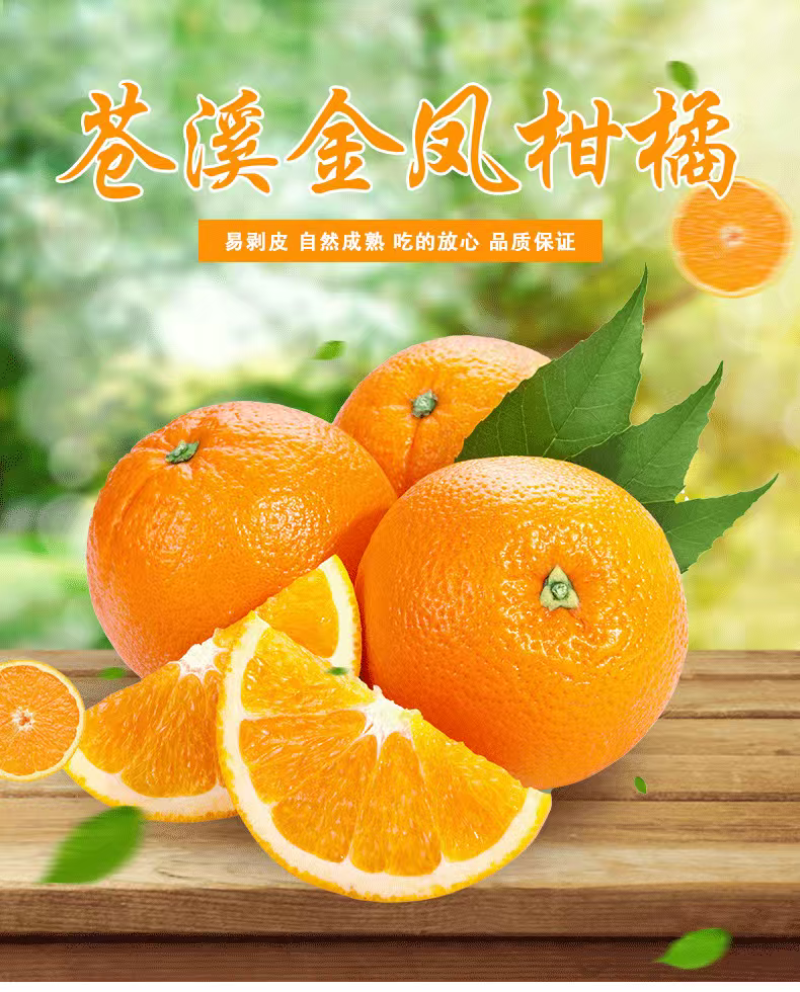 柑桔半斤以上大果