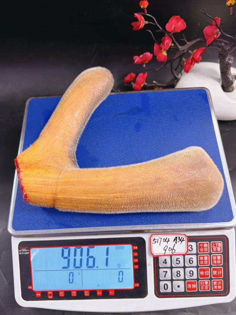 鹿茸干货、鲜货