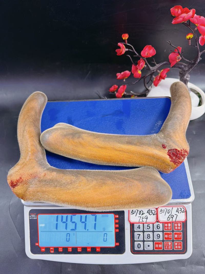 鹿茸干货、鲜货