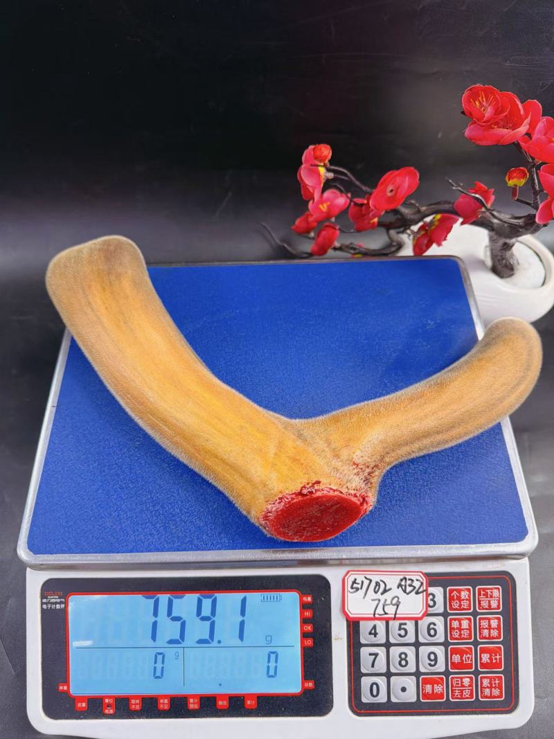 鹿茸干货、鲜货