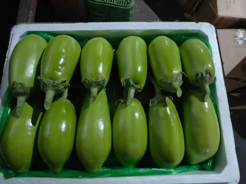 青茄单个半斤以上