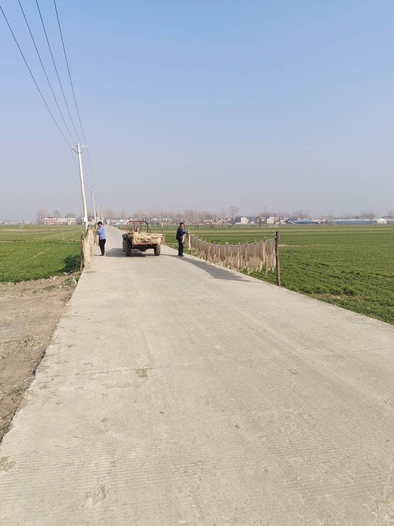 红薯粉丝细粉条
